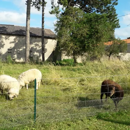 Petit La Vigne Est Belle - 2 Etoiles- Sud Charente Διαμέρισμα Lagarde-sur-le-Ne