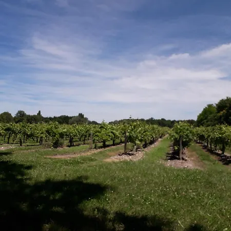 Petit La Vigne Est Belle - 2 Etoiles- Sud Charente Διαμέρισμα Lagarde-sur-le-Ne